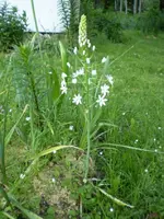 frühling08 355.webp
