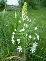 frühling08 356.webp