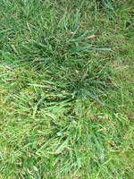 IMG_04301.webp