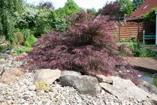 Bild 171.webp