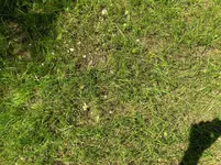HPIM2271.webp