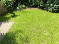 HPIM2272.webp