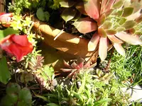 DSCN0196.webp