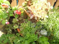 DSCN0199.webp