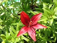 DSCN0201.webp