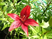 DSCN0202.webp