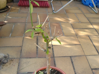 resized_01010143.webp