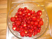 Erdbeerernte Juni 2008.webp