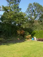Haus13.webp