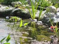 IMG_0719.webp