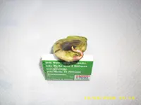 Test 537.webp