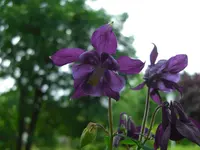 (42)_1024x768.webp