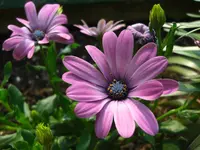(47)_1024x768.webp