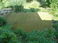 rasen.webp