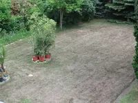 rasen2.webp
