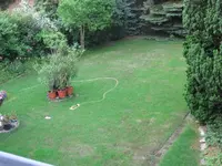 rasen4.webp