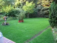 rasen5.webp