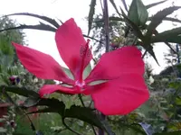 PICT0163.webp
