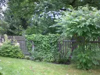 Garten 06-2 031.webp