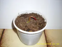 Test 448.webp