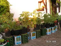 PICT3772.webp