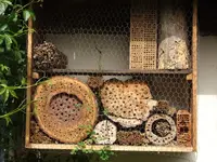 Bild 299.webp