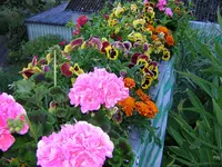 DSCN0215.webp