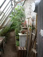 Treibhaus.webp