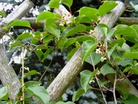 12.06.08 014.webp