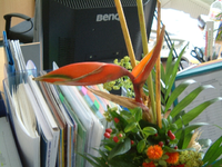 DSCF0001.webp