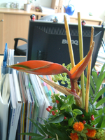 DSCF0002.webp