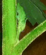 01.webp