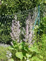 P1010630.webp