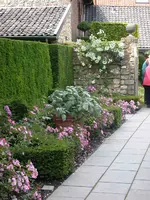 DSCN4317.webp