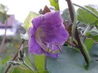 IMGP0471 (Medium).webp