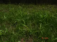 Bild 038.webp