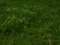 Bild 039.webp