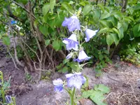 DSCF1990.webp