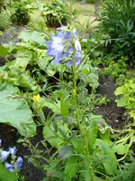DSCF1991.webp