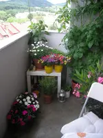 DSCN0349.webp