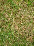 IMG_1361.jpg