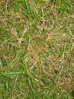 IMG_1361.webp