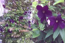 Bild127.webp