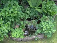 teich.webp
