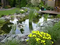 Gartenteich 008.webp