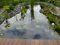 Gartenteich 013.webp