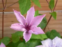 P1050098.webp