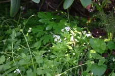 IMG_8677.webp