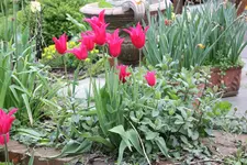 IMG_1831.webp