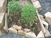 terrassenbeet_1.webp